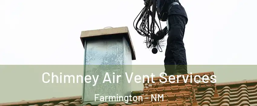  Chimney Air Vent Services Farmington - NM
