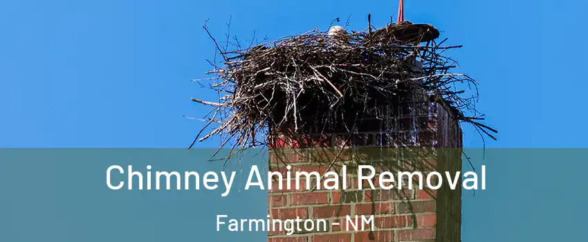 Chimney Animal Removal Farmington - NM