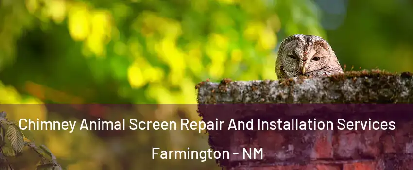  Chimney Animal Screen Repair And Installation Services Farmington - NM