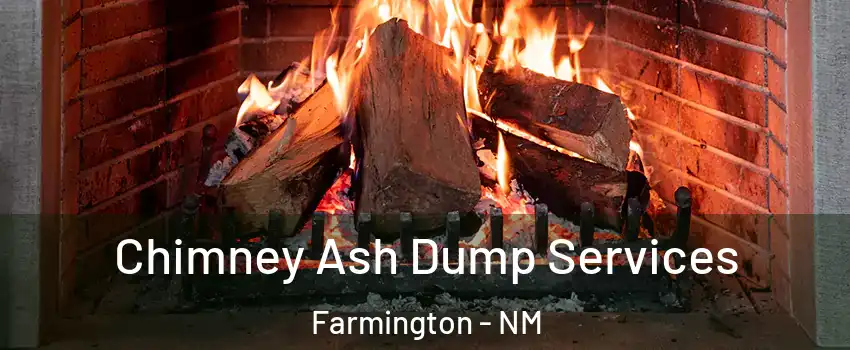 Chimney Ash Dump Services Farmington - NM