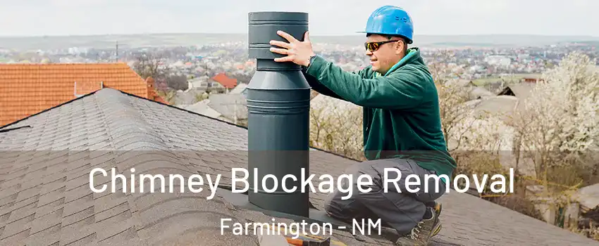  Chimney Blockage Removal Farmington - NM
