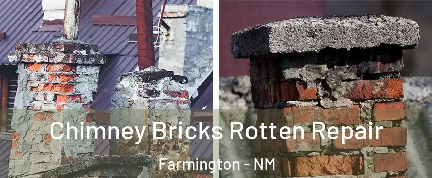  Chimney Bricks Rotten Repair Farmington - NM