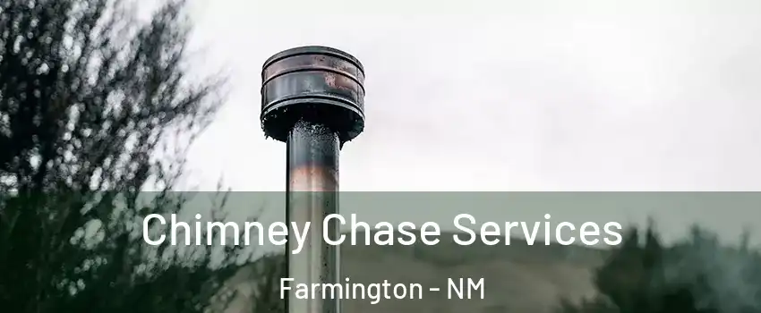  Chimney Chase Services Farmington - NM