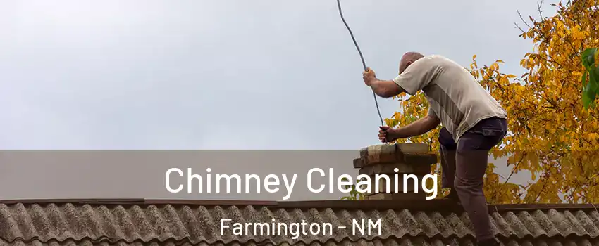  Chimney Cleaning Farmington - NM