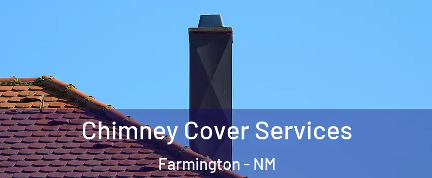 Chimney Cover Services Farmington - NM