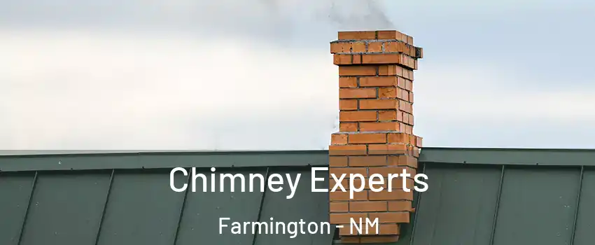  Chimney Experts Farmington - NM
