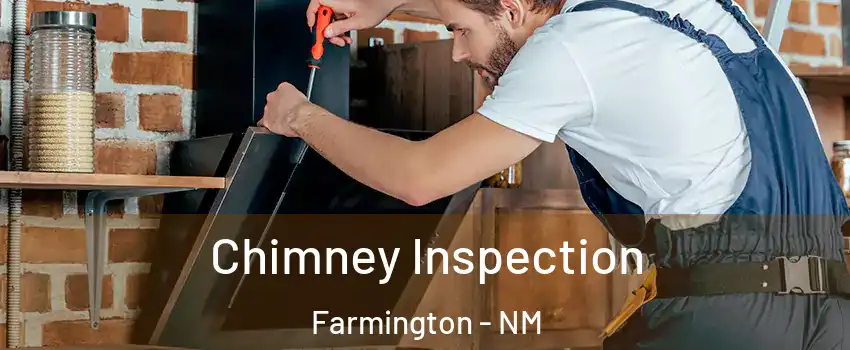  Chimney Inspection Farmington - NM