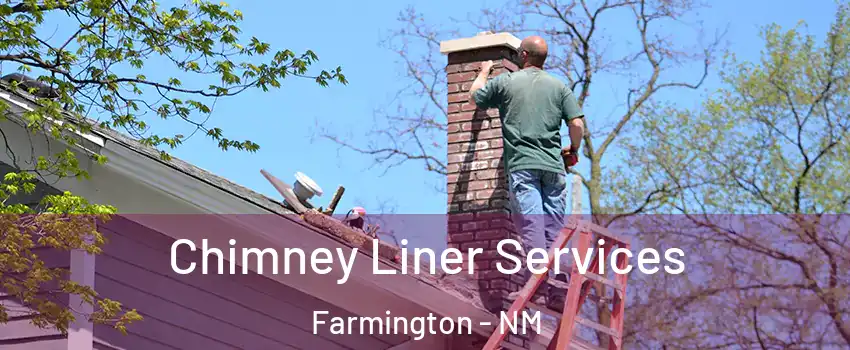  Chimney Liner Services Farmington - NM