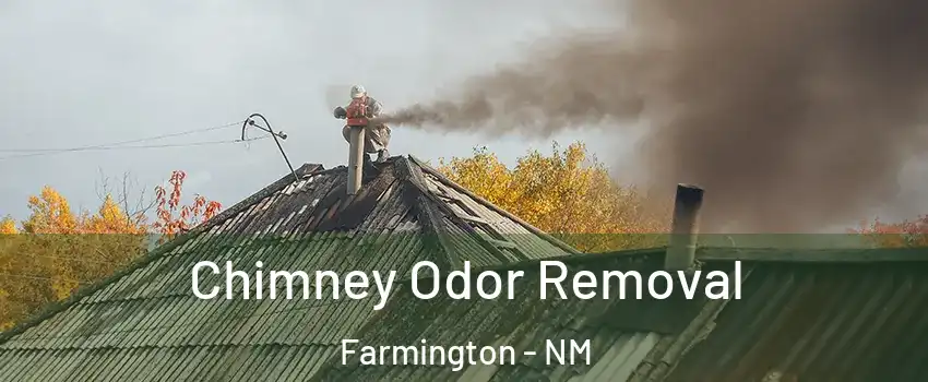  Chimney Odor Removal Farmington - NM