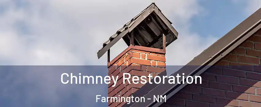  Chimney Restoration Farmington - NM