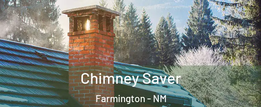  Chimney Saver Farmington - NM