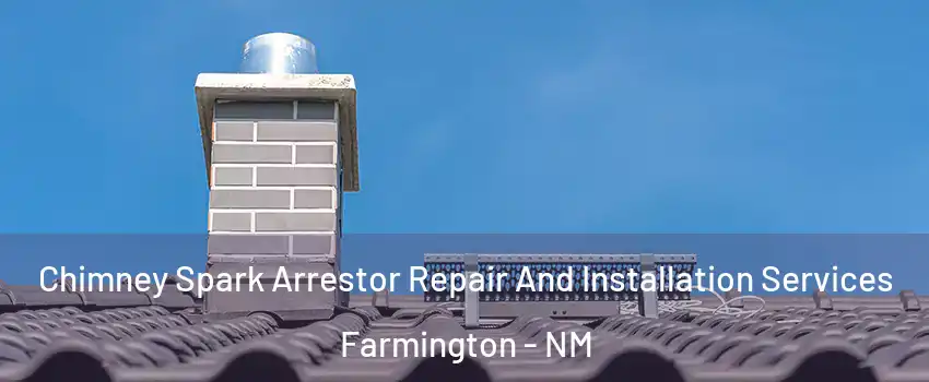  Chimney Spark Arrestor Repair And Installation Services Farmington - NM