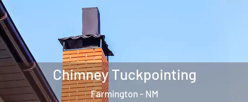  Chimney Tuckpointing Farmington - NM