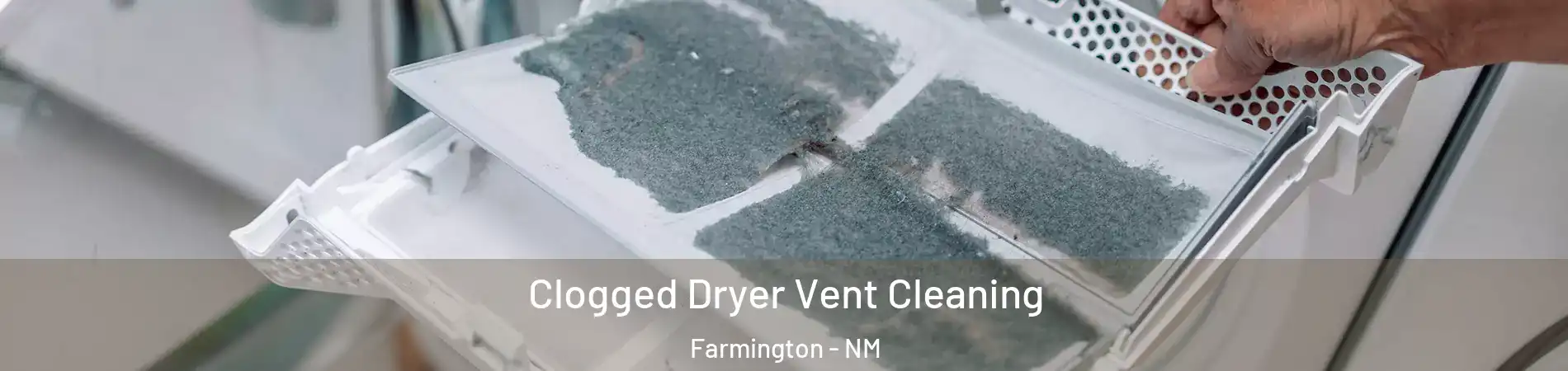  Clogged Dryer Vent Cleaning Farmington - NM