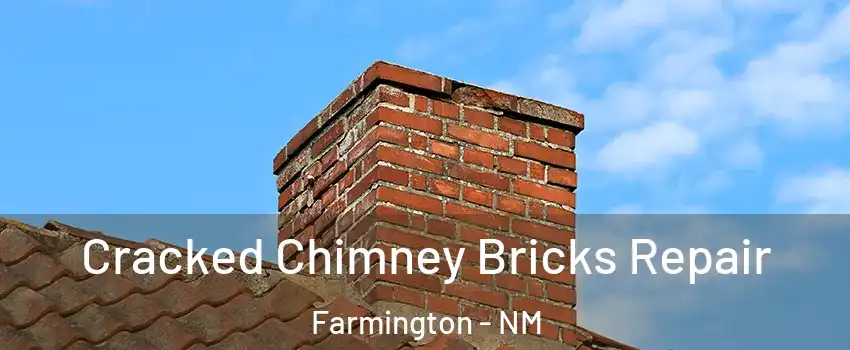  Cracked Chimney Bricks Repair Farmington - NM