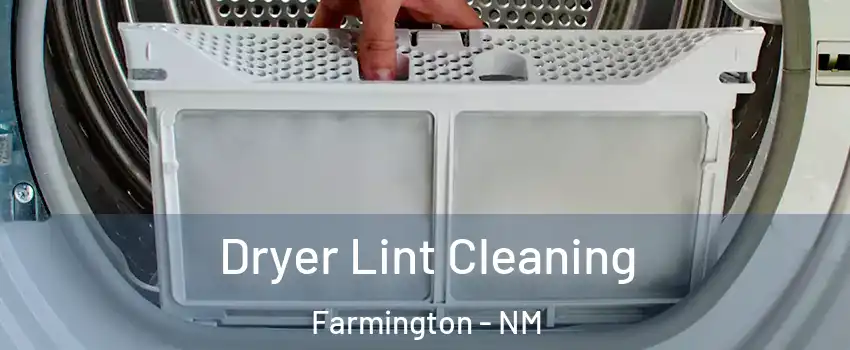  Dryer Lint Cleaning Farmington - NM