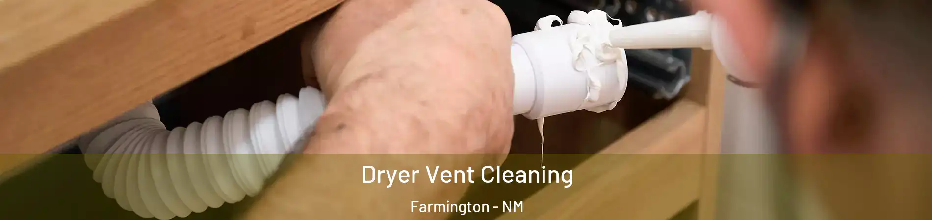  Dryer Vent Cleaning Farmington - NM