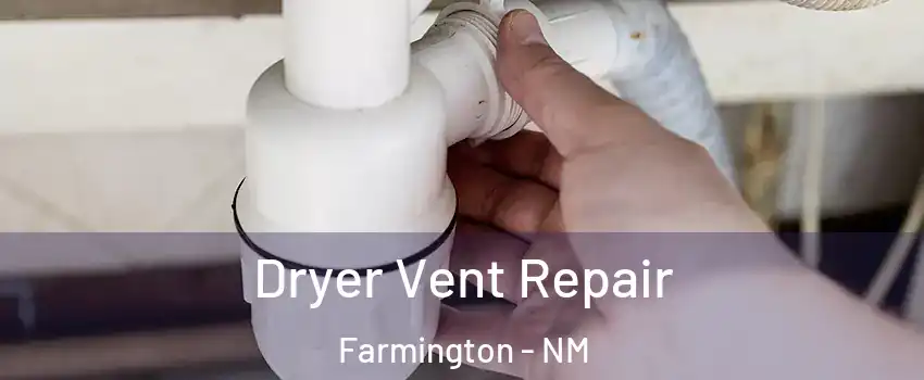  Dryer Vent Repair Farmington - NM