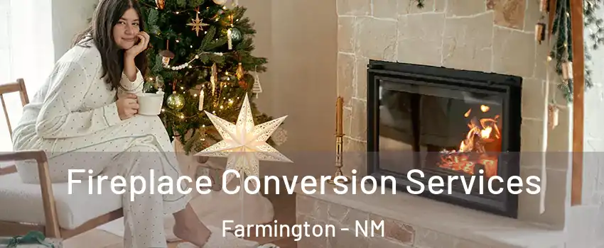  Fireplace Conversion Services Farmington - NM