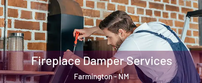  Fireplace Damper Services Farmington - NM