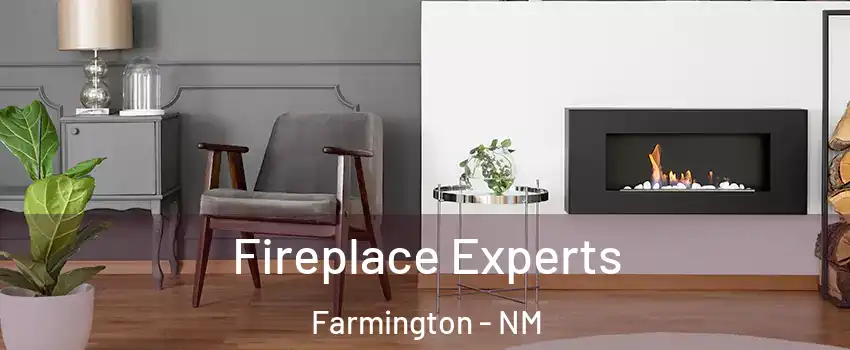  Fireplace Experts Farmington - NM