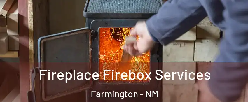  Fireplace Firebox Services Farmington - NM