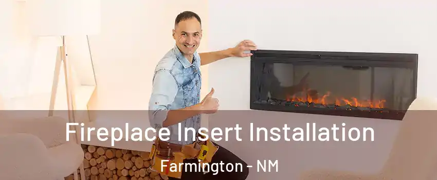  Fireplace Insert Installation Farmington - NM