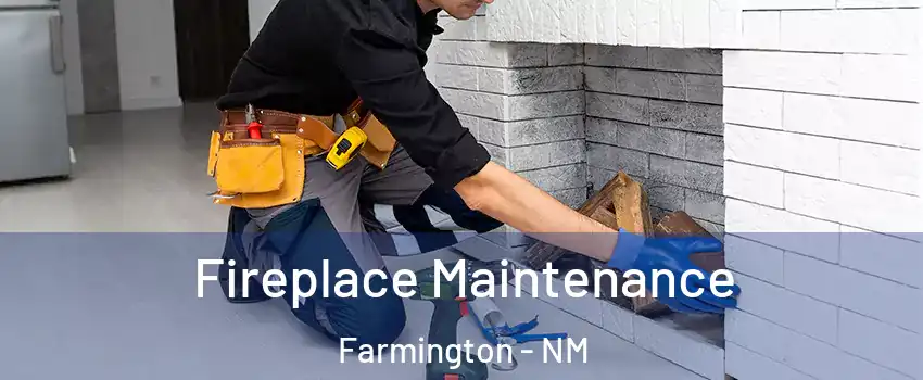  Fireplace Maintenance Farmington - NM