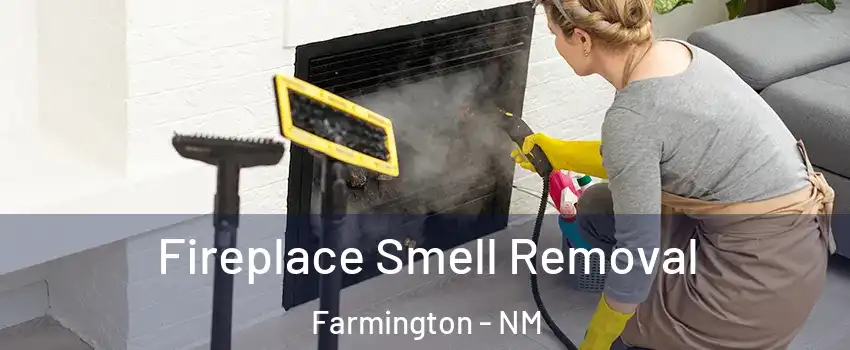  Fireplace Smell Removal Farmington - NM