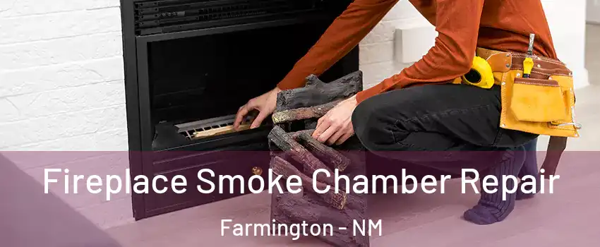  Fireplace Smoke Chamber Repair Farmington - NM