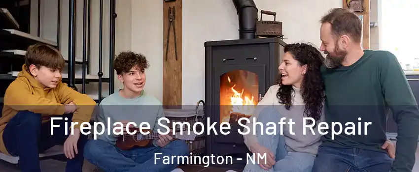  Fireplace Smoke Shaft Repair Farmington - NM