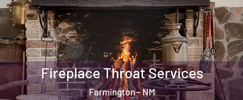  Fireplace Throat Services Farmington - NM
