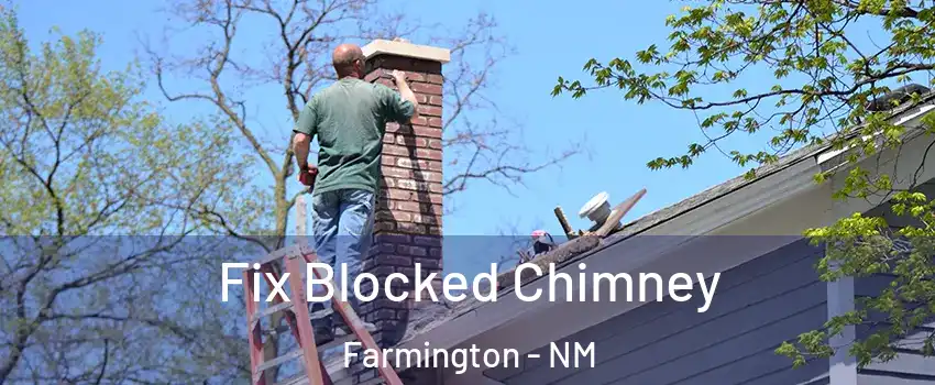  Fix Blocked Chimney Farmington - NM