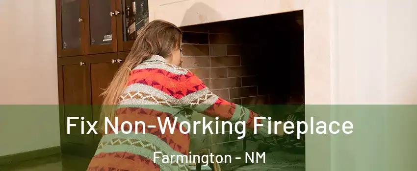  Fix Non-Working Fireplace Farmington - NM