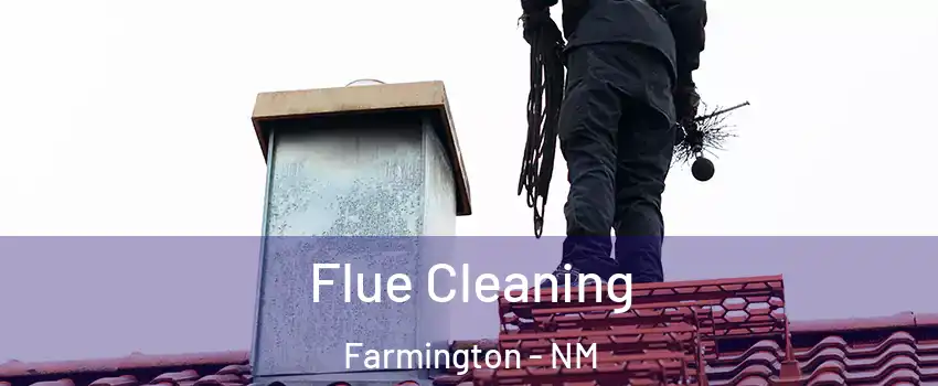  Flue Cleaning Farmington - NM