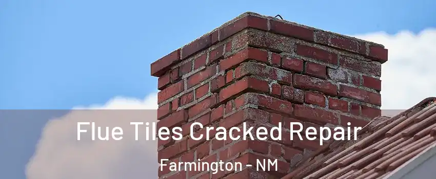  Flue Tiles Cracked Repair Farmington - NM