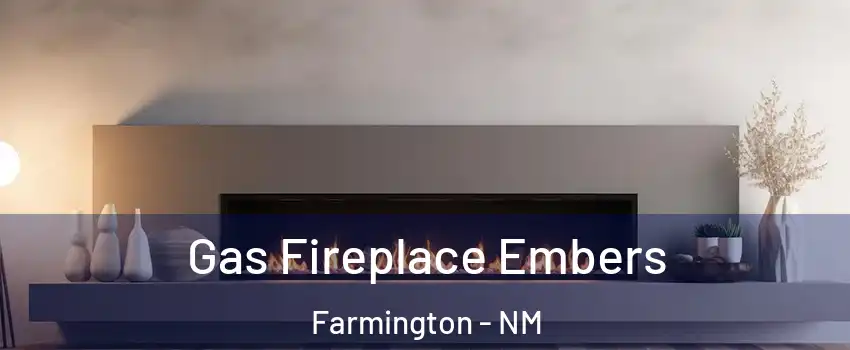  Gas Fireplace Embers Farmington - NM
