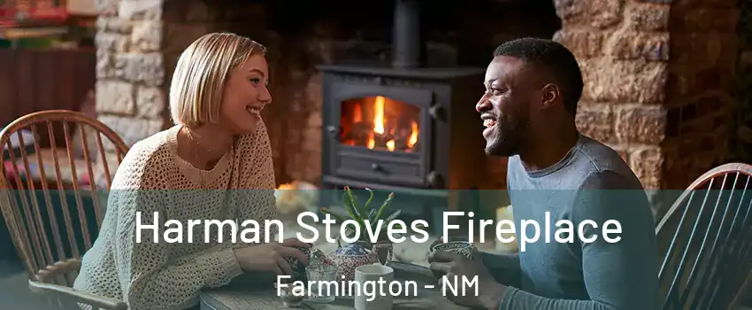  Harman Stoves Fireplace Farmington - NM