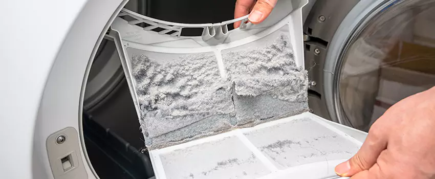 Best Dryer Lint Removal Company in Farmington, New Mexico