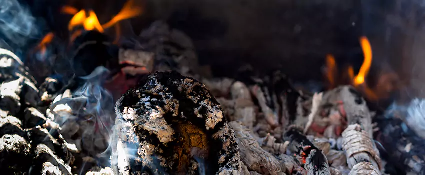 Creosote Removal Experts in Farmington, NM