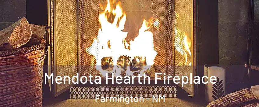  Mendota Hearth Fireplace Farmington - NM