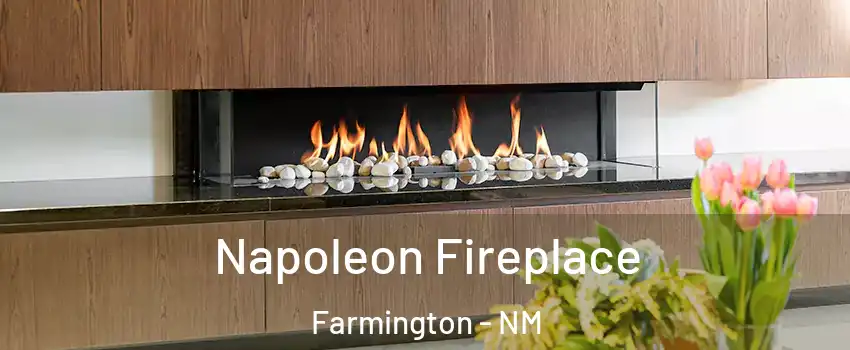  Napoleon Fireplace Farmington - NM