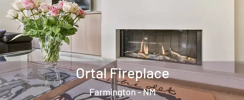  Ortal Fireplace Farmington - NM