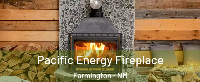  Pacific Energy Fireplace Farmington - NM
