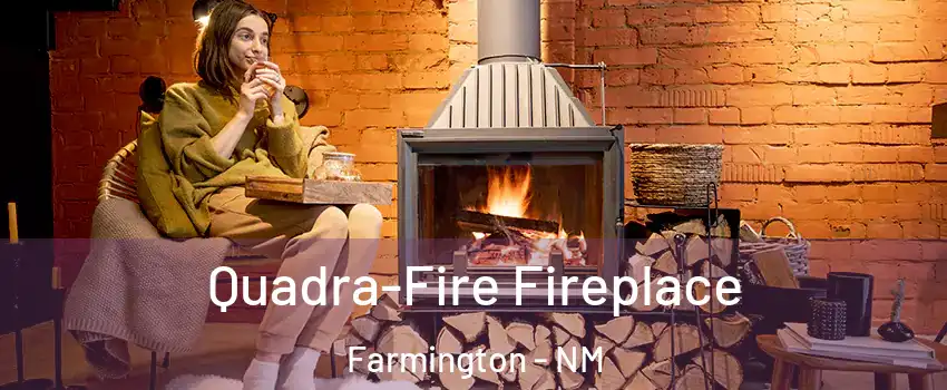  Quadra-Fire Fireplace Farmington - NM