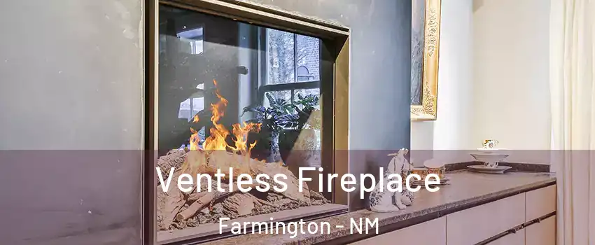  Ventless Fireplace Farmington - NM